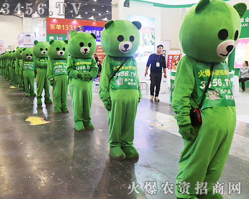 �����̏��݁��u���c����s2019����ʡֲ������