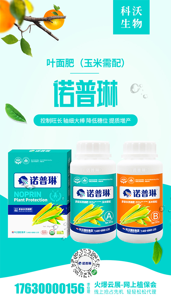 2020-5-1�ӱ��؅^(q��)���׃r����S��rһ�[