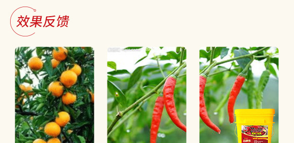 高抗1號菌(農(nóng)用微生物菌劑)-五道豐 高抗1號菌(農(nóng)用微生物菌劑)-五道豐