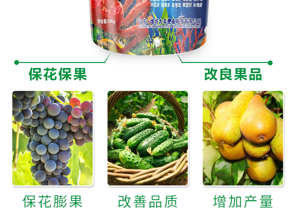 保花膨果肥-田園季豐-大豐肥業(yè) ?;ㄅ蚬?田園季豐-大豐肥業(yè)