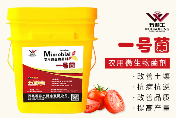 農(nóng)用微生物菌劑(一號(hào)菌)-五道豐 農(nóng)用微生物菌劑(一號(hào)菌)-五道豐