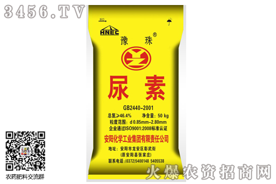 �����^�����؃r����ô����2020-6-29���؃r�������r