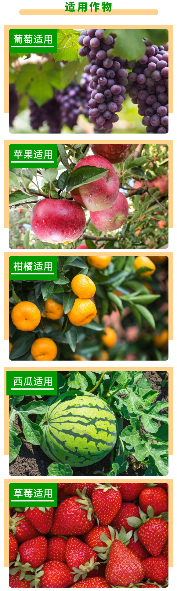 高濃度沖施滴灌肥10-5-30-果美康-金正生物 高濃度沖施滴灌肥10-5-30-果美康-金正生物