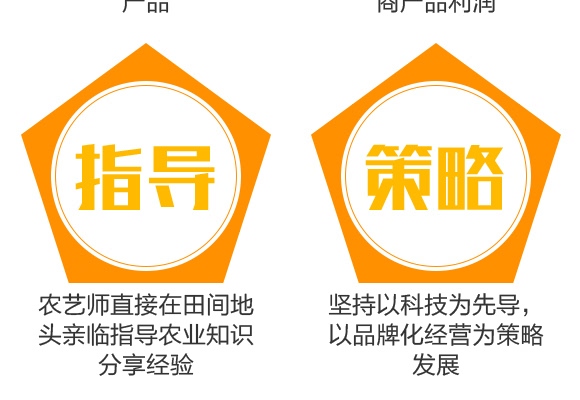 花生千斤寶-花多收-三禾肥業(yè) 花生千斤寶-花多收-三禾肥業(yè)