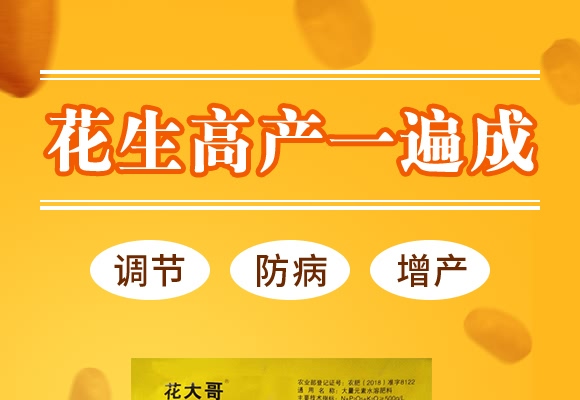 花生高產(chǎn)一遍成-花大哥-三禾肥業(yè) 花生高產(chǎn)一遍成-花大哥-三禾肥業(yè)