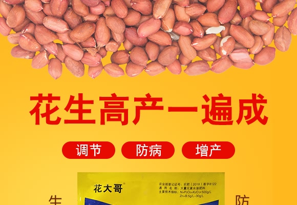 花生高產(chǎn)一遍成-花大哥-三禾肥業(yè) 花生高產(chǎn)一遍成-花大哥-三禾肥業(yè)
