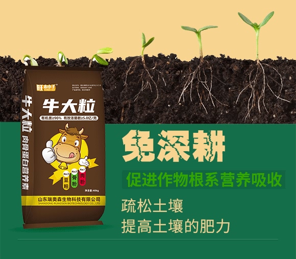 肉骨蛋白營養(yǎng)液-牛大粒-瑞奧森 肉骨蛋白營養(yǎng)液-牛大粒-瑞奧森