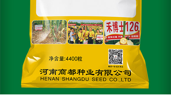 禾博士126-玉米種子-商都種業(yè) 禾博士126-玉米種子-商都種業(yè)