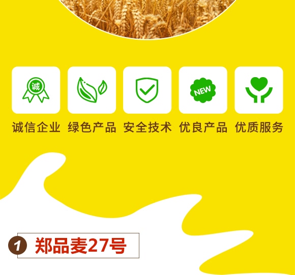 鄭品麥27號(hào)-小麥種子-邦邦種業(yè) 鄭品麥27號(hào)-小麥種子-邦邦種業(yè)