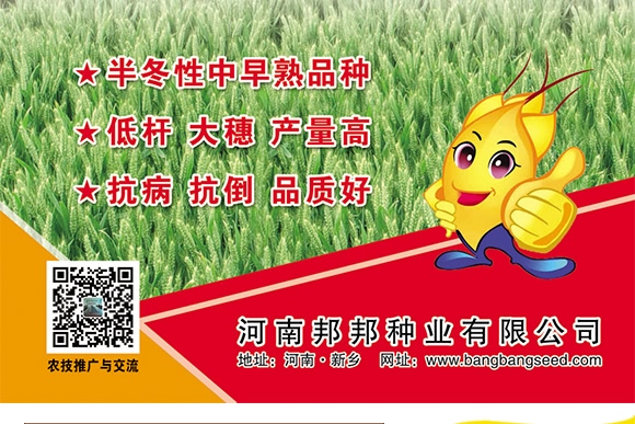 鄭品麥27號(hào)-小麥種子-邦邦種業(yè) 鄭品麥27號(hào)-小麥種子-邦邦種業(yè)