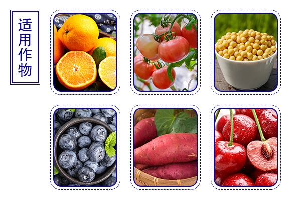 平衡型大量元素水溶肥料150+180+170+TE-田滿好-田輕松