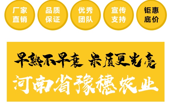金毛驢匯豐1518-玉米種子-豫穗農(nóng)業(yè) 金毛驢匯豐1518-玉米種子-豫穗農(nóng)業(yè)
