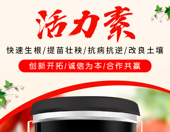 活力素-海法-海法國際