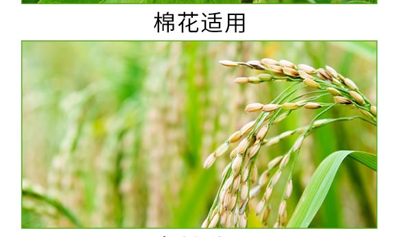 礦源黃腐酸碳酶菌劑-黃立翠-廣宇通 礦源黃腐酸碳酶菌劑-黃立翠-廣宇通