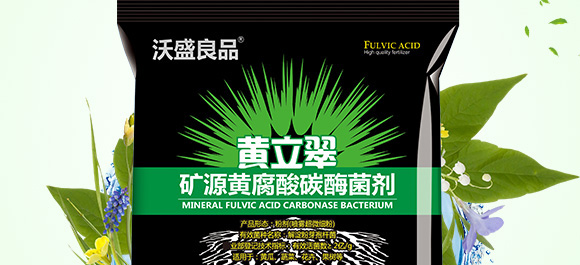 礦源黃腐酸碳酶菌劑-黃立翠-廣宇通 礦源黃腐酸碳酶菌劑-黃立翠-廣宇通
