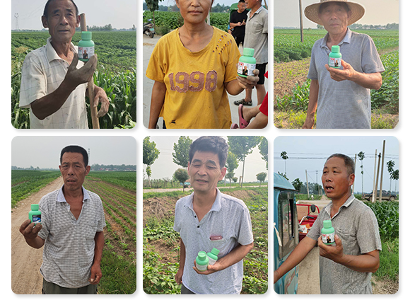 微生物菌劑-菌安天下