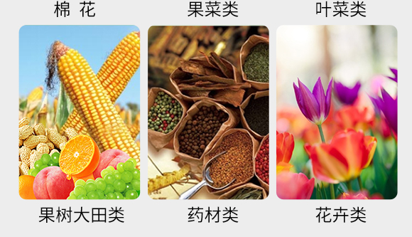 瀹濅赴涓囬殕鑲ヤ笟鏈夐檺鍏徃(閽劇敯瀹?_05.jpg 瀹濅赴涓囬殕鑲ヤ笟鏈夐檺鍏徃(閽劇敯瀹?_05.jpg