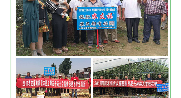 摻混肥料-農(nóng)友福 摻混肥料-農(nóng)友福