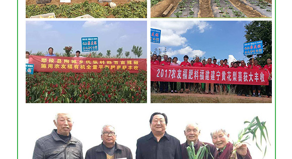 摻混肥料-農(nóng)友福 摻混肥料-農(nóng)友福