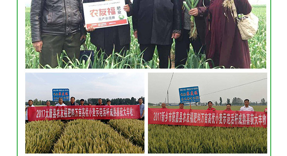 摻混肥料-農(nóng)友福 摻混肥料-農(nóng)友福