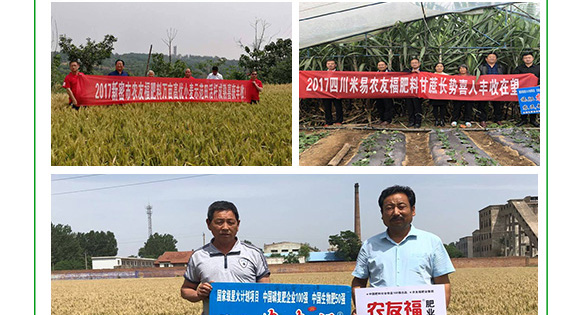 摻混肥料-農(nóng)友福 摻混肥料-農(nóng)友福