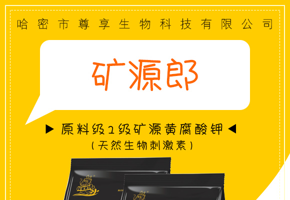 鍘熸枡綰?綰х熆婧愰粍鑵愰吀閽撅紙澶╃劧鐢熺墿鍒烘縺绱狅級(jí)-鐭挎簮閮?灝婁韓鐢熺墿_01.jpg 鍘熸枡綰?綰х熆婧愰粍鑵愰吀閽撅紙澶╃劧鐢熺墿鍒烘縺绱狅級(jí)-鐭挎簮閮?灝婁韓鐢熺墿_01.jpg