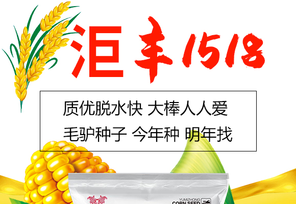 鏈爣棰?2.jpg 鏈爣棰?2.jpg