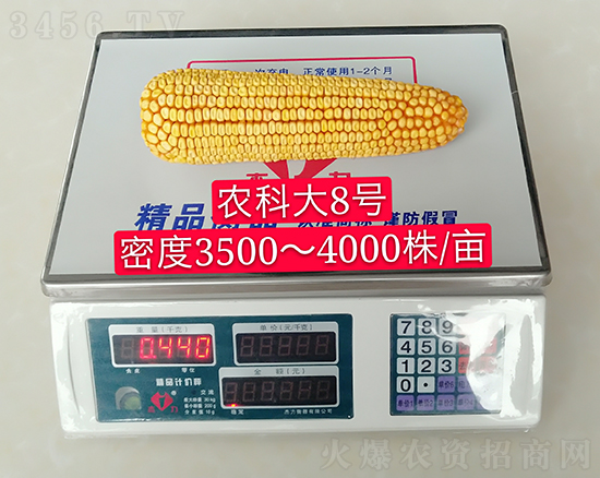 白芯農(nóng)科大8號玉米種子-敦煌飛天-中亞農(nóng)業(yè) 白芯農(nóng)科大8號玉米種子-敦煌飛天-中亞農(nóng)業(yè)