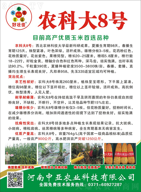 白芯農(nóng)科大8號玉米種子-敦煌飛天-中亞農(nóng)業(yè) 白芯農(nóng)科大8號玉米種子-敦煌飛天-中亞農(nóng)業(yè)