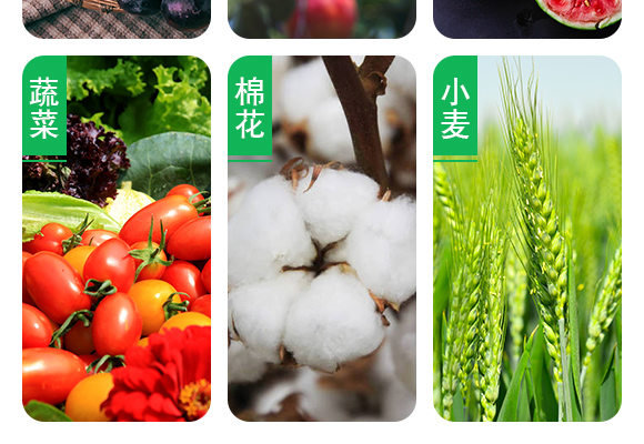 澶ч噺鍏冪礌姘存憾鑲ユ枡20-20-20+TE_06.jpg 澶ч噺鍏冪礌姘存憾鑲ユ枡20-20-20+TE_06.jpg