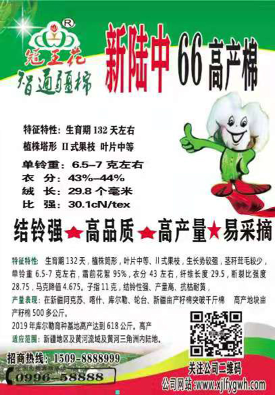 新陸中66號棉花種子-智通疆棉-利豐元 新陸中66號棉花種子-智通疆棉-利豐元