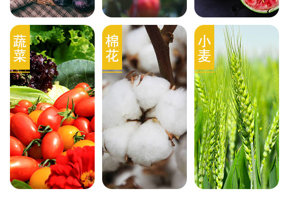 鐭挎簮榛勮厫閰擱捑-娌冪洓鑹搧_06.jpg 鐭挎簮榛勮厫閰擱捑-娌冪洓鑹搧_06.jpg