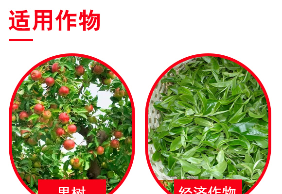 钃熼棽-0_04.jpg 钃熼棽-0_04.jpg