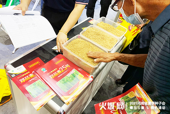 溫縣噸玉種業(yè)誠(chéng)邀您參展2021河南省夏季種子會(huì)! 溫縣噸玉種業(yè)誠(chéng)邀您參展2021河南省夏季種子會(huì)!