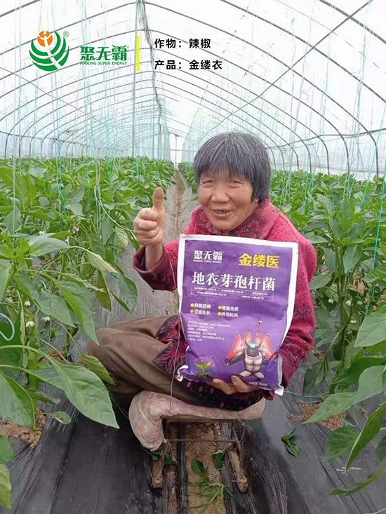 閲戠紩鍖誨湴琛h娊瀛㈡潌鑿?鑱氭棤闇?.jpg 閲戠紩鍖誨湴?。鑺藉鏉嗚?鑱氭棤闇?.jpg