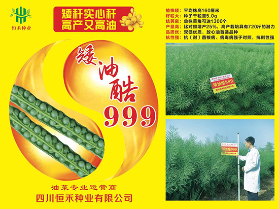 娌硅彍縐嶅瓙-鐭補(bǔ)閰?99-鎭掔縐嶄笟2.jpg 娌硅彍縐嶅瓙-鐭補(bǔ)閰?99-鎭掔縐嶄笟2.jpg