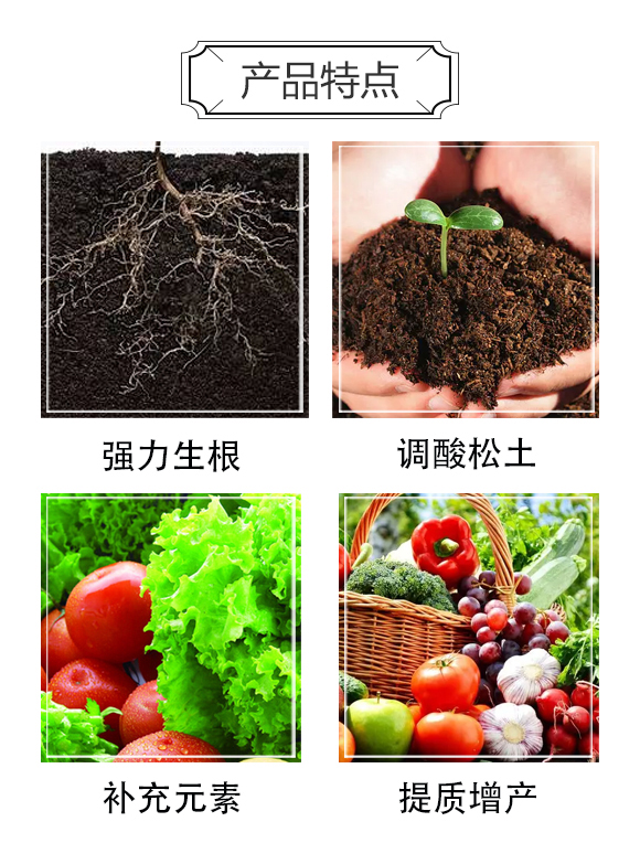 鍦扮泭鍢?浜旇胺涓癬03.jpg 鍦扮泭鍢?浜旇胺涓癬03.jpg