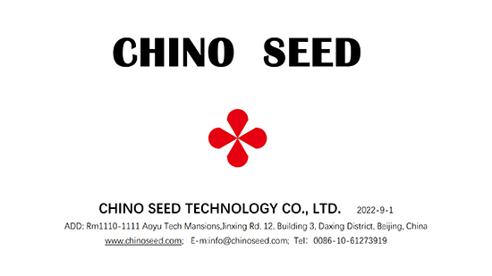 Company-profile---chino_00.jpg Company-profile---chino_00.jpg