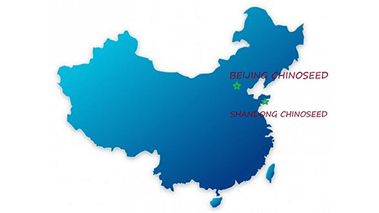 Company-profile---chino_02.jpg Company-profile---chino_02.jpg