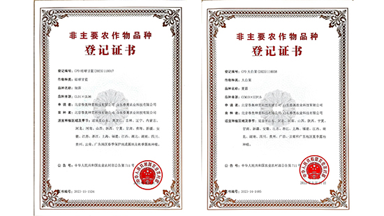 Company-profile---chino_08.jpg Company-profile---chino_08.jpg