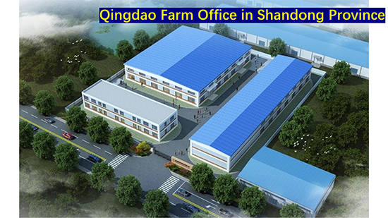 Company-profile---chino_09.jpg Company-profile---chino_09.jpg