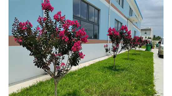 Company-profile---chino_14.jpg Company-profile---chino_14.jpg