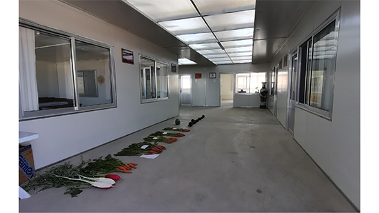 Company-profile---chino_23.jpg Company-profile---chino_23.jpg