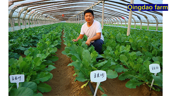 Company-profile---chino_26.jpg Company-profile---chino_26.jpg