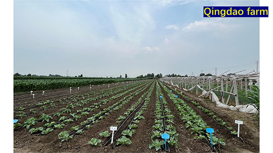 Company-profile---chino_31.jpg Company-profile---chino_31.jpg