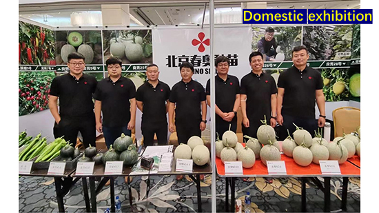 Company-profile---chino_47.jpg Company-profile---chino_47.jpg