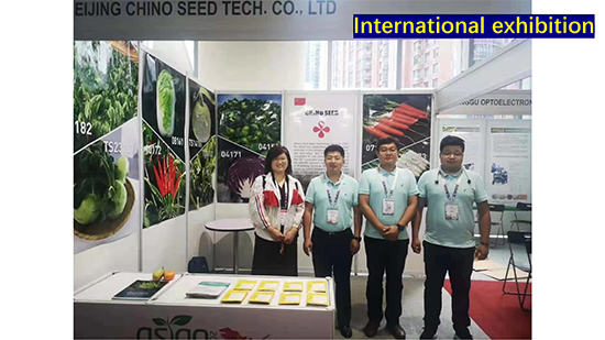 Company-profile---chino_48.jpg Company-profile---chino_48.jpg