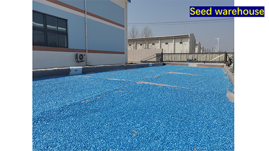 Company-profile---chino_49.jpg Company-profile---chino_49.jpg