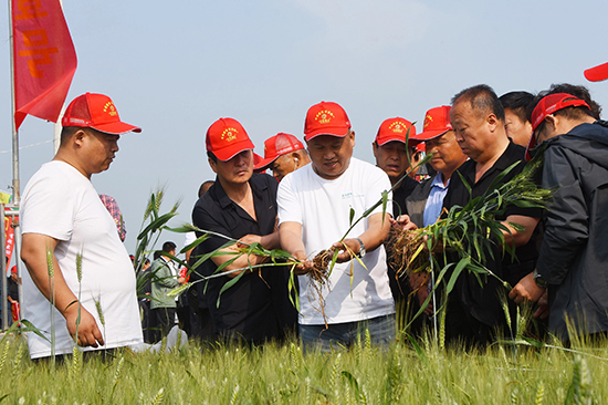 寰俊鍥劇墖_20241224113611.jpg 寰俊鍥劇墖_20241224113611.jpg