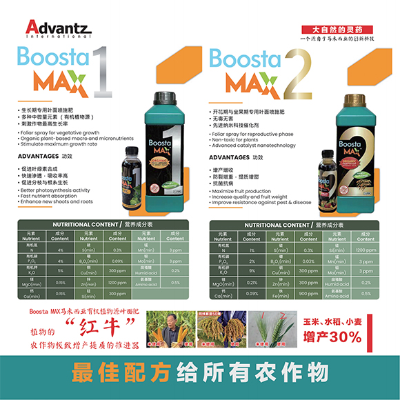 涓扮敯鐢誨唽20250419a_02.jpg 涓扮敯鐢誨唽20250419a_02.jpg